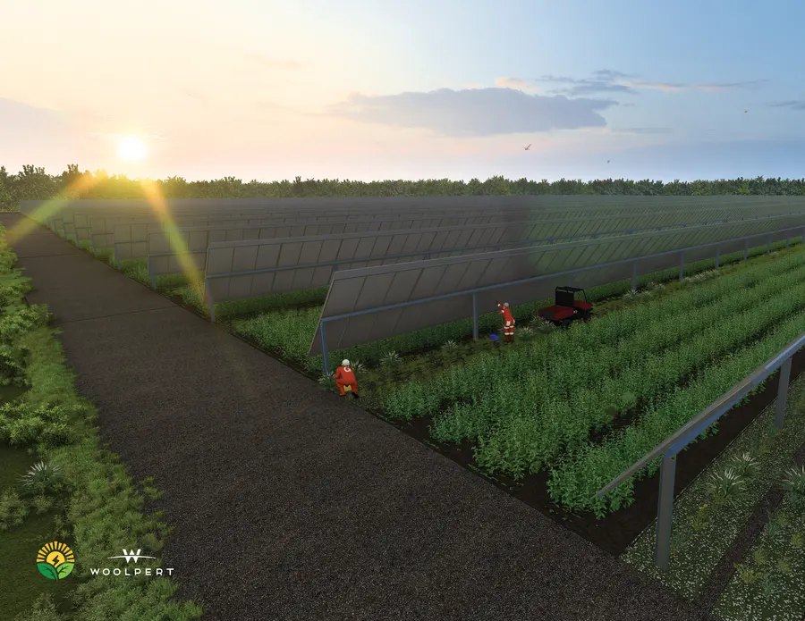 Solargation® afternoon energy rendering